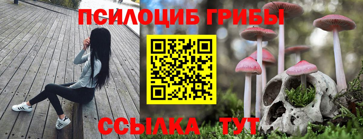 Псилоцибиновые грибы мицелий  Вход с VPN  Арзамас 